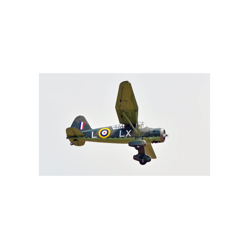 Avion thermique radiocommandé Westland Lysander 33cc ARF