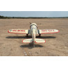 Avion thermique radiocommandé GILMORE 60cc GP-EP ARF