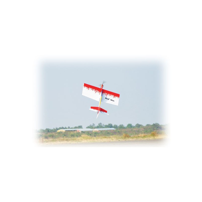 Avions électrique radiocommandé WILD HOTS EP ARF Avions électrique radiocommandé WILD HOTS EP ARF