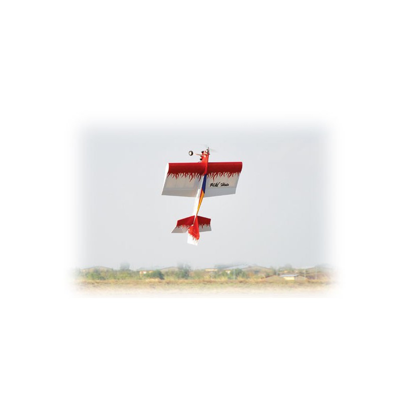 Avions électrique radiocommandé WILD HOTS EP ARF Avions électrique radiocommandé WILD HOTS EP ARF