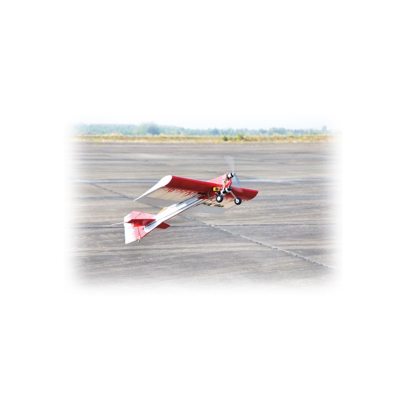 Avions électrique radiocommandé WILD HOTS EP ARF Avions électrique radiocommandé WILD HOTS EP ARF