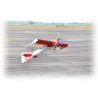 Avions électrique radiocommandé WILD HOTS EP ARF