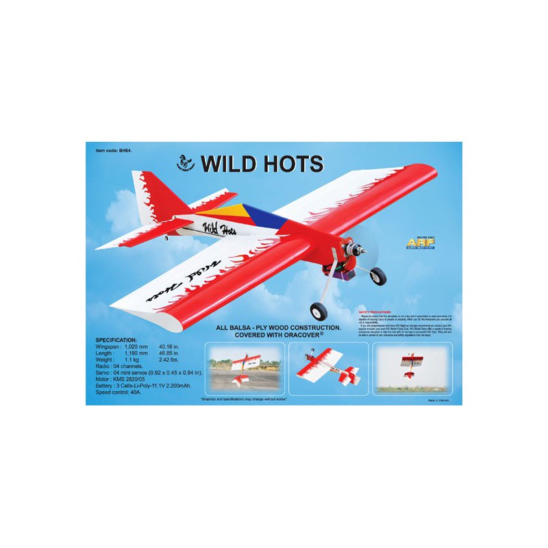 Avions électrique radiocommandé WILD HOTS EP ARF Avions électrique radiocommandé WILD HOTS EP ARF
