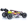Voiture électrique radiocommandée ATOM Roller Cage 1/10