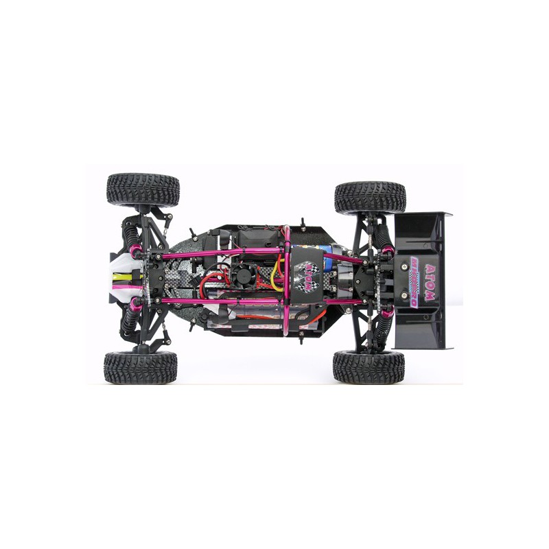 Voiture électrique radiocommandée ATOM Roller Cage 1/10