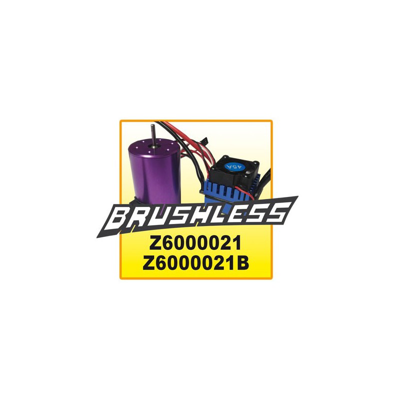 Voiture électrique radiocommandée MOAB Brushless V2 1/10