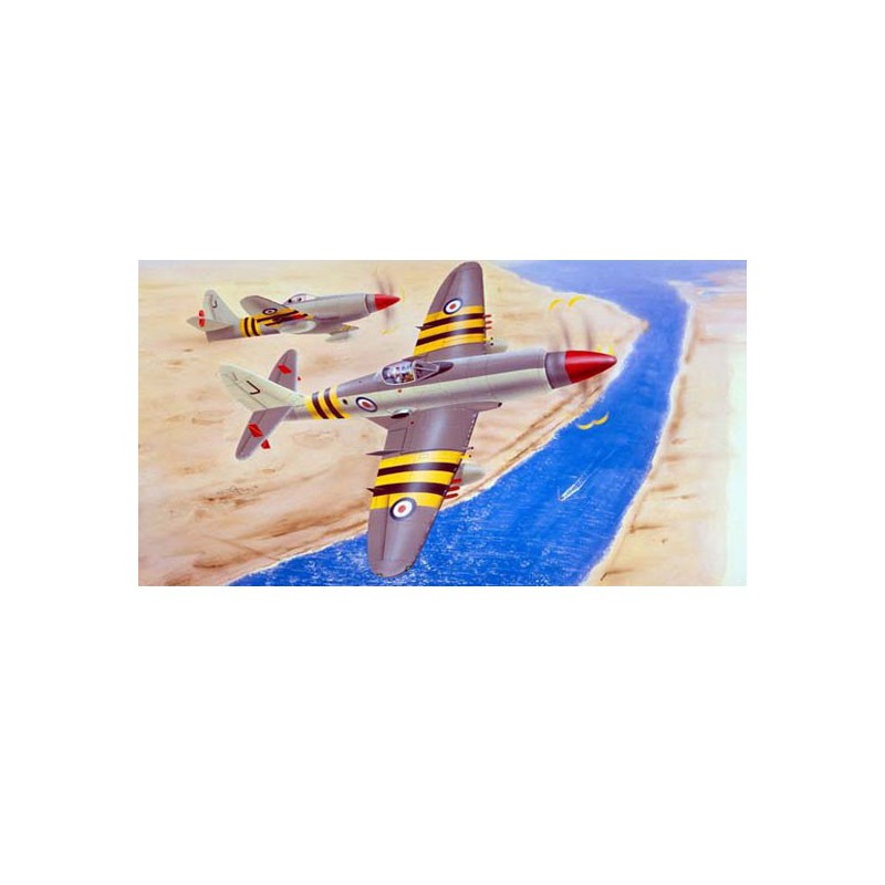 Maquette d'avion en plastique WYVERN S.4