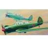 Maquette d'avion en plastique YAK-18 MAX Maquette d'avion en plastique YAK-18 MAX