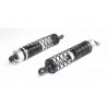 Pièce pour voiture electrique tous chemin 1/10 Amortisseurs arrière (2 pcs)