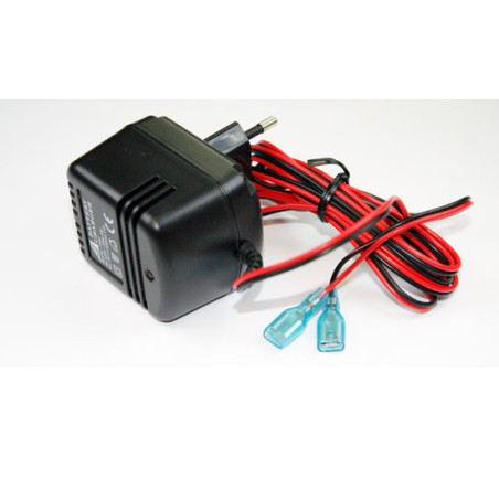 Chargeur pour accu pour appareil radiocommandé Chargeur 2V - 500mAh pour Cyclon Chargeur pour accu pour appareil radiocommandé Chargeur 2V - 500mAh pour Cyclon
