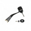 Pièce pour bateaux de vitesse Moteur Brushless BT2500 Pièce pour bateaux de vitesse Moteur Brushless BT2500