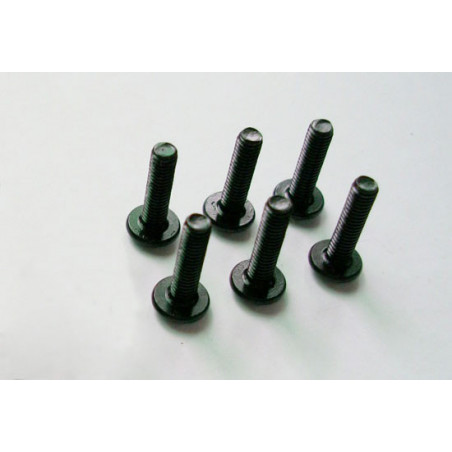 Pièce pour voiture electrique tous chemin 1/10 Vis M3*12 6pcs Pièce pour voiture electrique tous chemin 1/10 Vis M3*12 6pcs