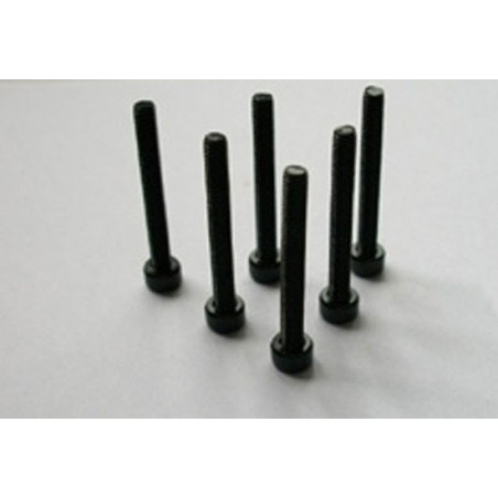 Pièce pour voiture electrique tous chemin 1/10 Vis M3*25 6pcs Pièce pour voiture electrique tous chemin 1/10 Vis M3*25 6pcs