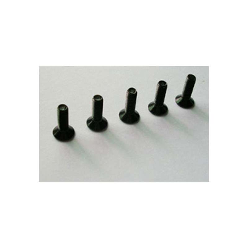 Pièce pour voiture electrique tous chemin 1/10 Vis plate M3*10  6pcs