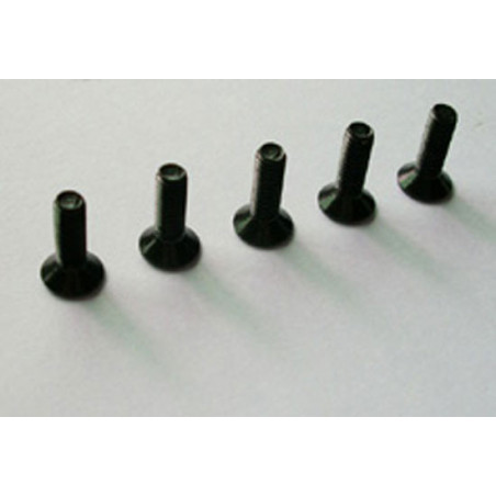Pièce pour voiture electrique tous chemin 1/10 Vis plate M3*10 6pcs Pièce pour voiture electrique tous chemin 1/10 Vis plate M3*10 6pcs
