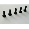 Pièce pour voiture electrique tous chemin 1/10 Vis plate M3*10  6pcs