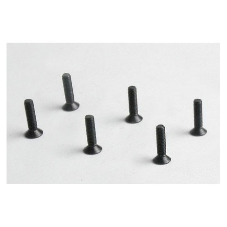 Pièce pour voiture electrique tous chemin 1/10 Vis plate M3*12 6 pcs Pièce pour voiture electrique tous chemin 1/10 Vis plate M3*12 6 pcs