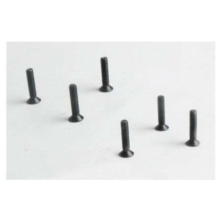 Pièce pour voiture electrique tous chemin 1/10 Vis plate M3*14 6pcs Pièce pour voiture electrique tous chemin 1/10 Vis plate M3*14 6pcs