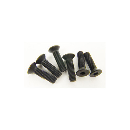 Pièce pour voiture thermique tous chemin 1/5 Vis tête Plate 5 x 18.5(6 pcs) Pièce pour voiture thermique tous chemin 1/5 Vis tête Plate 5 x 18.5(6 pcs)