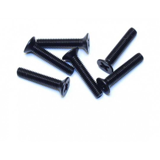 Pièce pour voiture electrique tous chemin 1/10 Vis Tête Plate M3x14 (6pcs)
