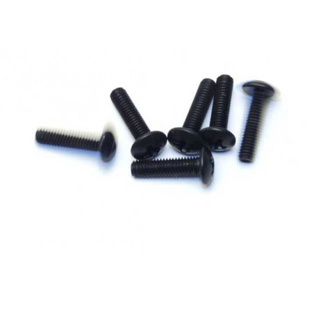 Pièce pour voiture electrique tous chemin 1/10 Vis Tête Ronde M3x12 (6 pcs) Pièce pour voiture electrique tous chemin 1/10 Vis Tête Ronde M3x12 (6 pcs)