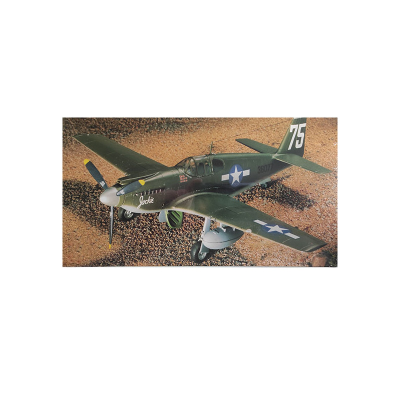 Maquette d'avion en plastique P-51A Mustang 1/48
