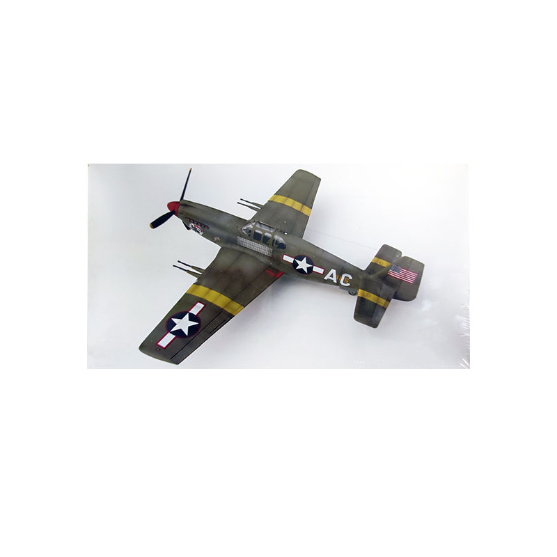 Maquette d'avion en plastique F-6A Mustang Tac-Recce Fighter 1/48
