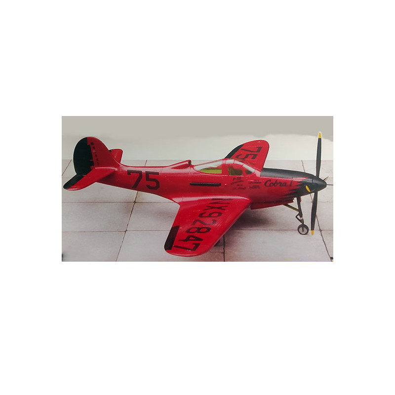 Maquette d'avion en plastique P-39Q Airacobra Skylanes unlimited Race Team 1/48