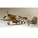 Maquette d'avion en plastique F-6B Mustang 1/48 Maquette d'avion en plastique F-6B Mustang 1/48