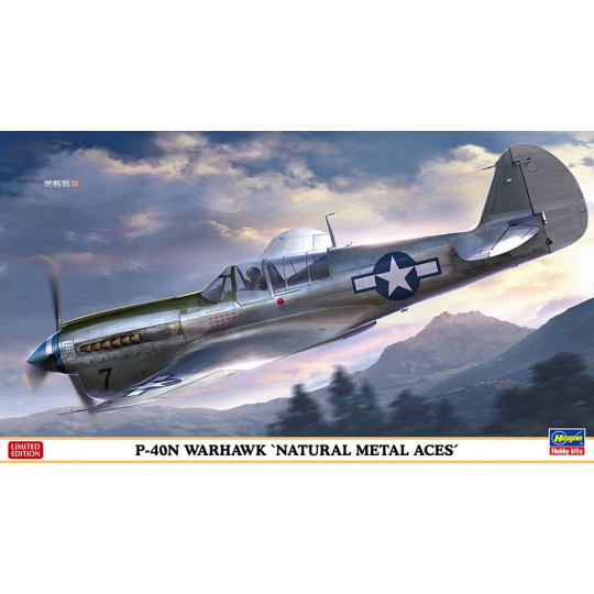 Maquette d’avion en plastique P-40N Warhawk ‘Natural Metal Aces’ 1:48 Maquette d’avion en...