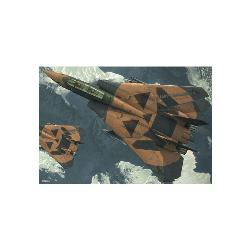 Maquette d'avion en plastique F-14D Tomcat ACE 1/72