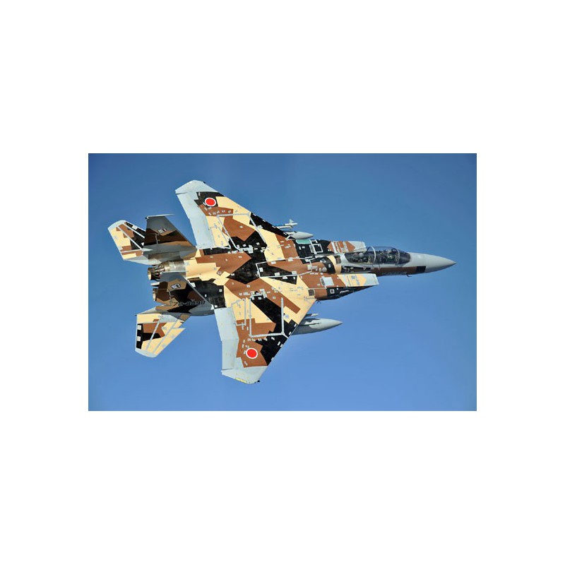 Maquette d'avion en plastique 1/72F-15DJ EAGLE