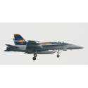 Maquette d'avion en plastique F/A-18C GOLDEN DRAGON 1/72 Maquette d'avion en plastique F/A-18C GOLDEN DRAGON 1/72