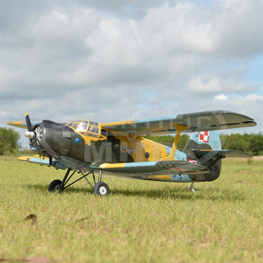 Avión de radiocontrol de...