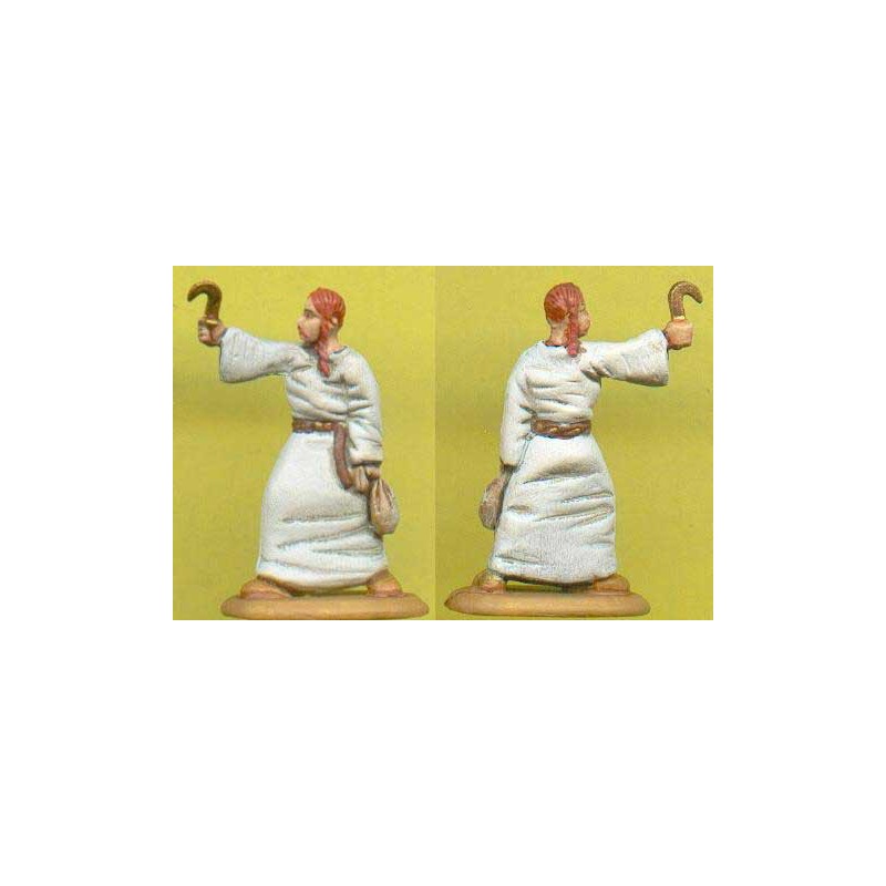 Figurine COMMANDEMENT CELTE1/72