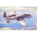 Maquette d'avion en plastique N/AWA-10A Thunderbolt II 1/48 Maquette d'avion en plastique N/AWA-10A Thunderbolt II 1/48