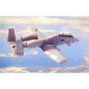 Maquette d'avion en plastique N/AWA-10A Thunderbolt II 1/48 Maquette d'avion en plastique N/AWA-10A Thunderbolt II 1/48