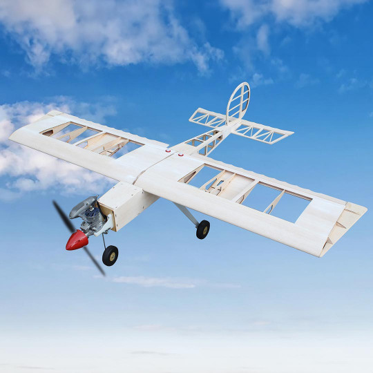 Avión de control remoto a...