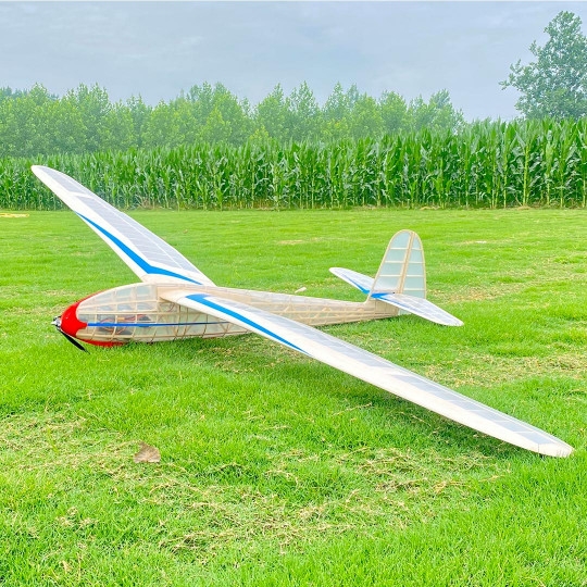 Planeur radiocommandé Lippisch G108 kit Planeur radiocommandé...