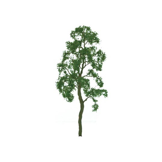 Arbre BOULEAUX 100mm - ECHELLE HO