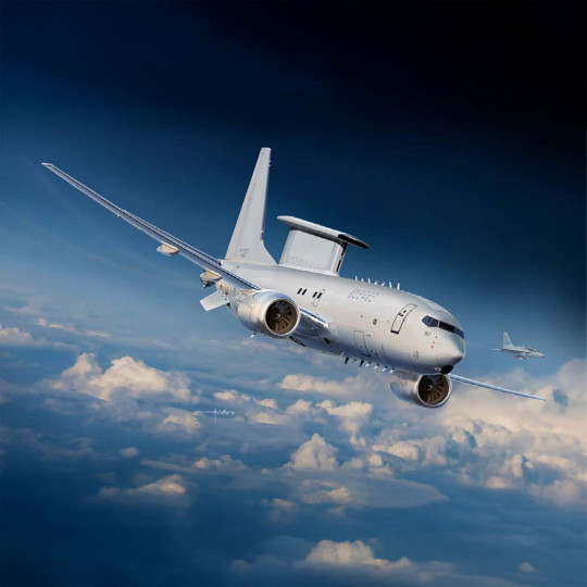 Maqueta de avión de...