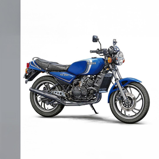 Maqueta de plástico de la...