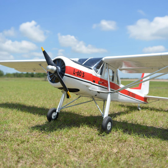 Avión de radiocontrol a...