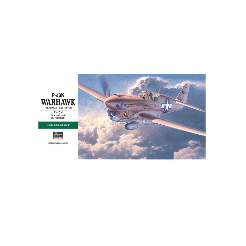 Maquette d'avion en plastique P-40N WARHAWK 1/48