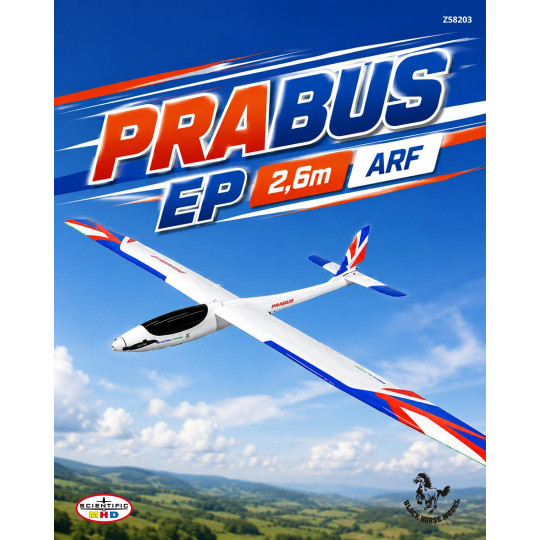 Planeador de radiocontrol...
