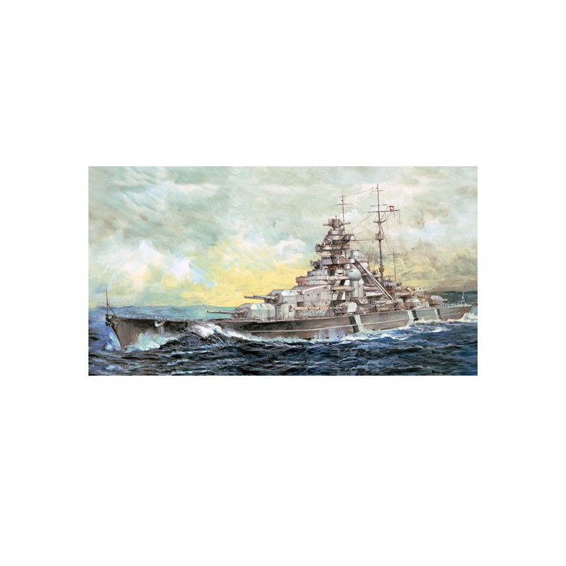 Maquette de Bateau en plastique Top Grade German Bismarck 1/700