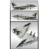 Maquette d'avion en plastique F-14A VF-2 1/72