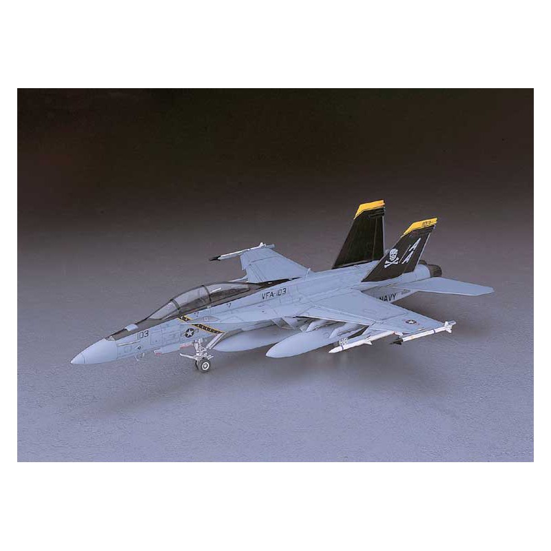 Maquette d'avion en plastique F/A-18F HORNET 1/48