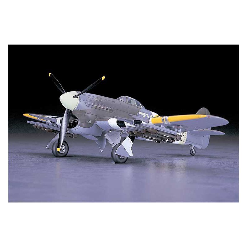 Maquette d'avion en plastique TYPHOON Normandie (JT60) 1/48