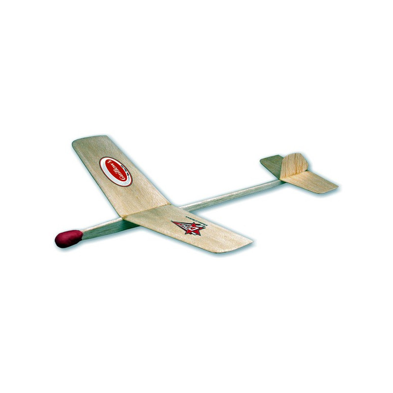 Avion de vol libre radiocommandé GOLDWING